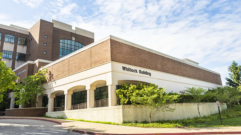 the Whitlock Building with green trees during summer