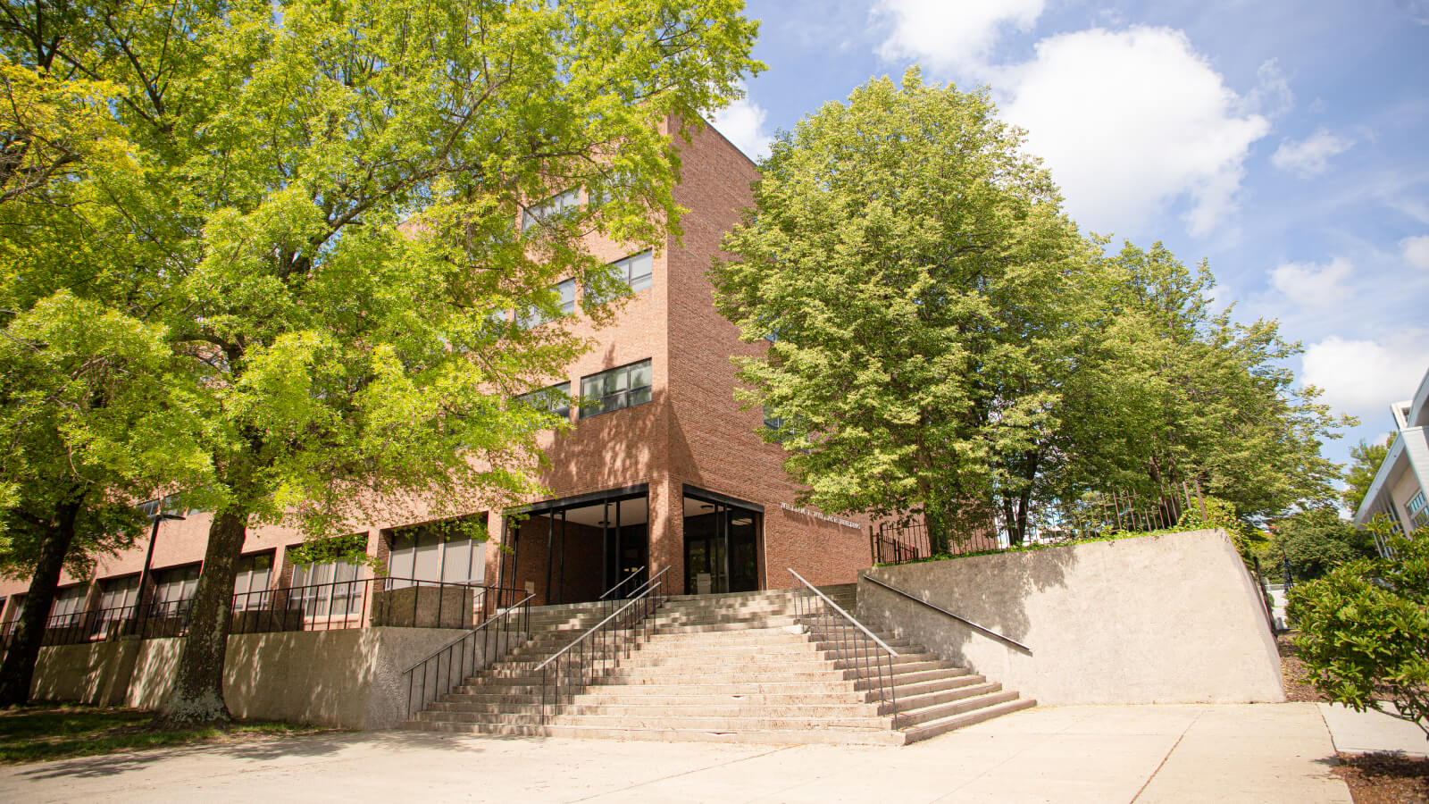 view of the Wallace Building framed by green trees