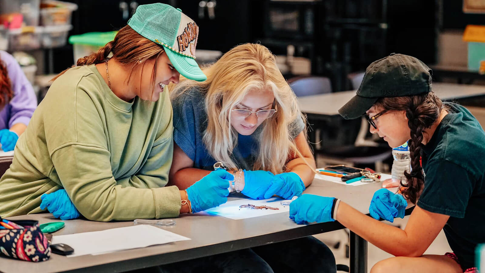 Three female students work together at a desk, examining an earthworm and making notes in class.