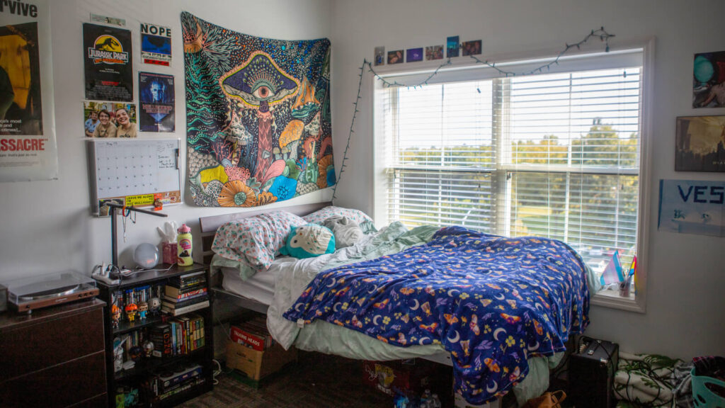 a bedroom in a Grand Campus apartment with a bed and shelves and a cabinet and windows