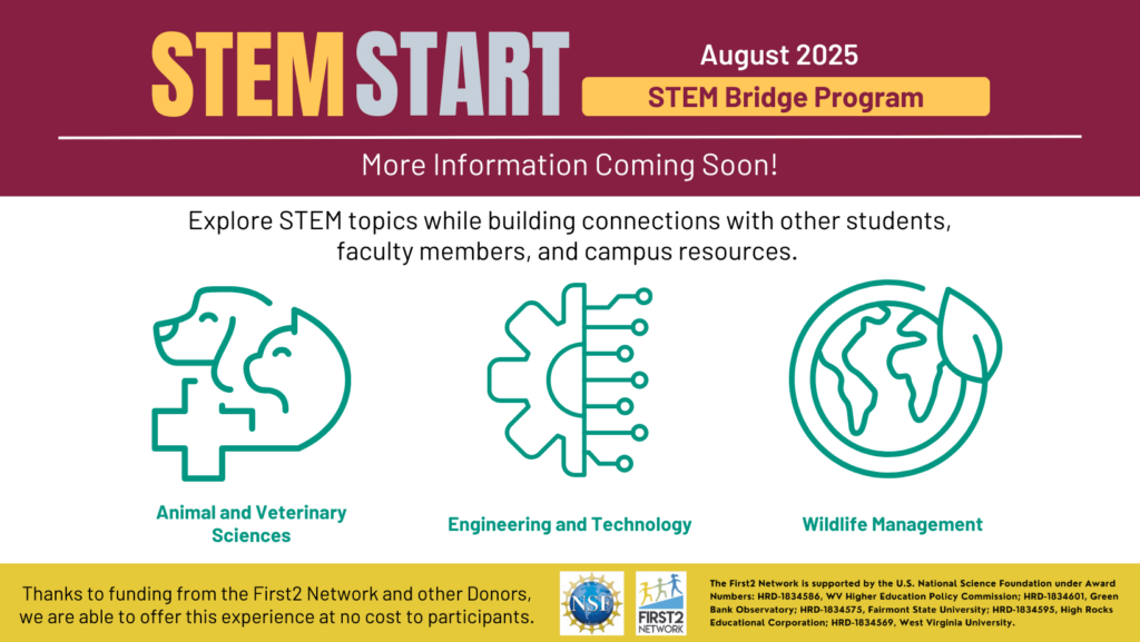 Informational graphic for information about STEM START explained also explained in the text below.