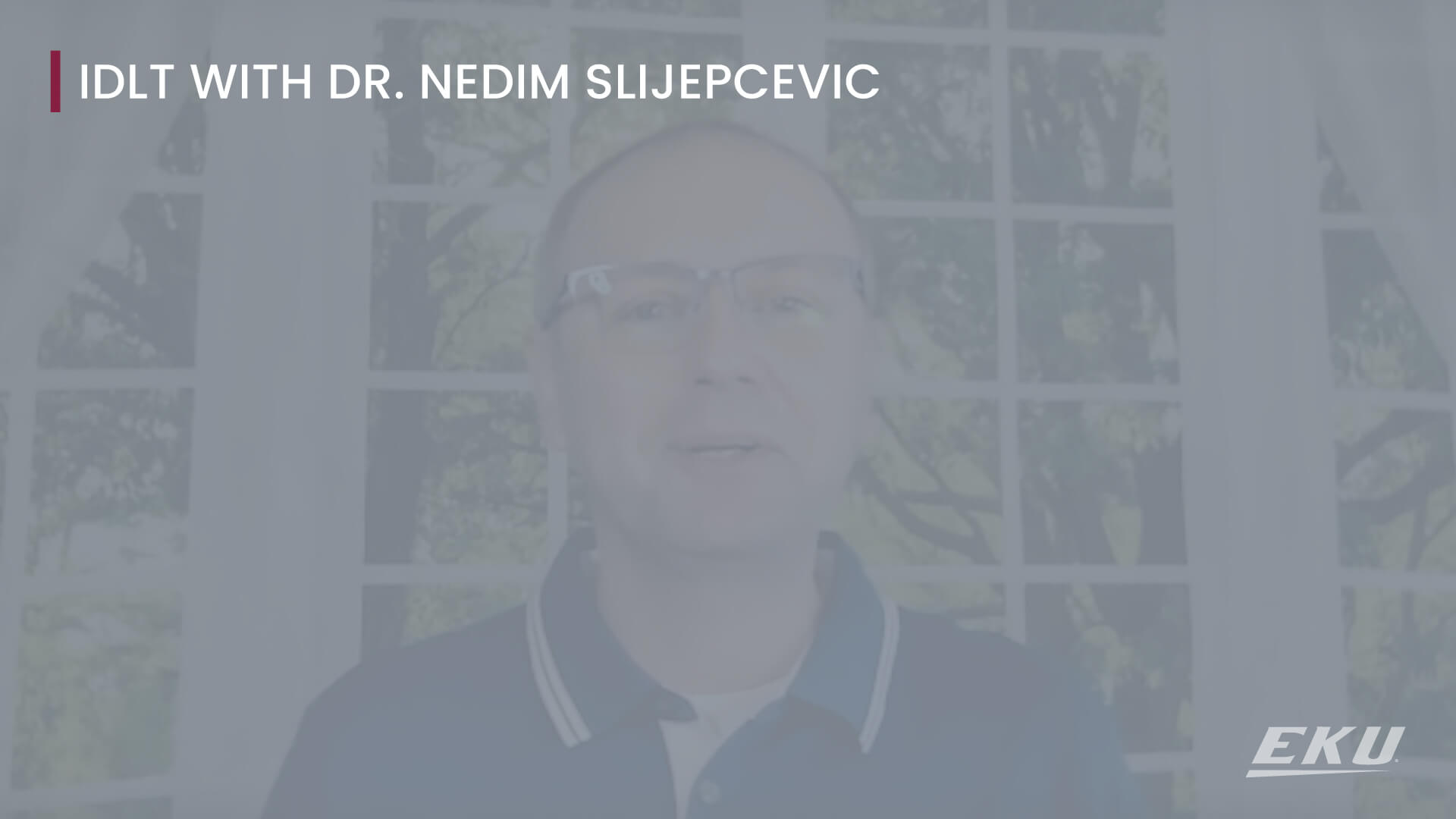 a video screen with text that says "IDLT with Dr. Nedim Slijepcevic and an image of Dr. Nedim Slijepcevic speaking into the camera with a window to the outdoors as their backdrop